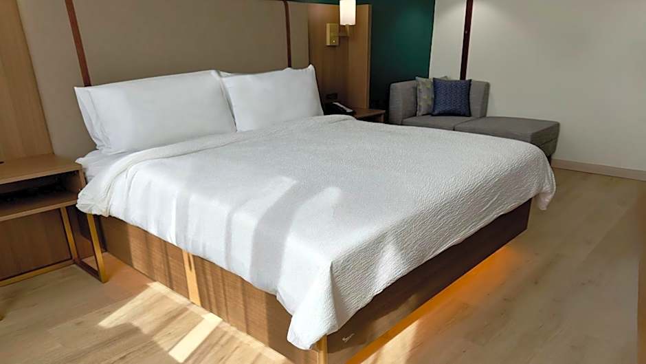 Holiday Inn Houston S - NRG Area - Med Ctr By IHG