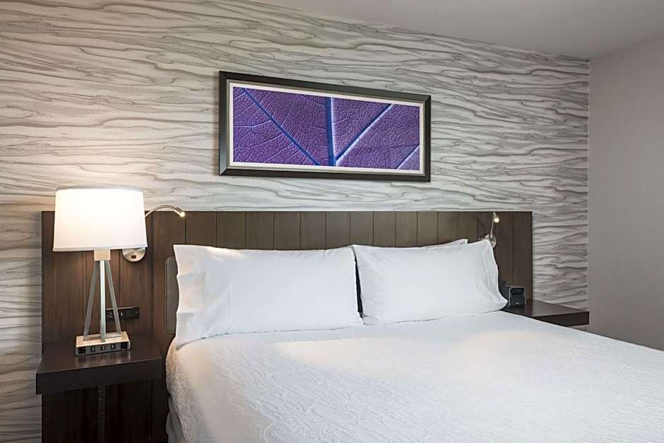 Hilton Garden Inn Ottawa Downtown