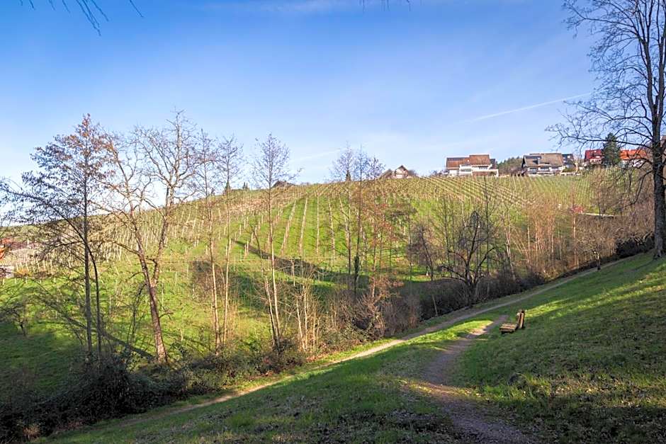 living TIMELESS - Adler Apartments Sasbachwalden