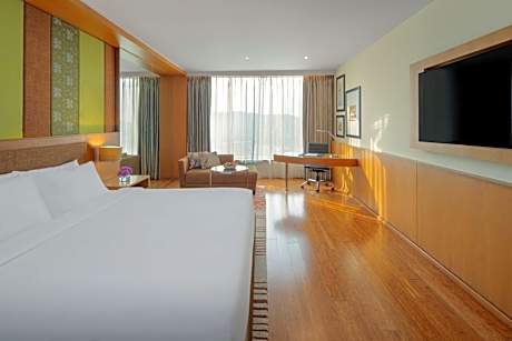 Business Class Room with Bath tub, free Wi-fi ,1 way airport transfer