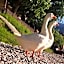 B&B Le Ortensie -Lago di Como