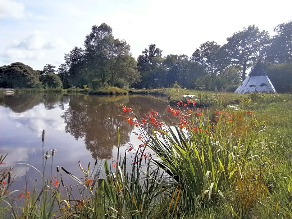 Chambre d'hôte atypique "trappeur" West little ranch