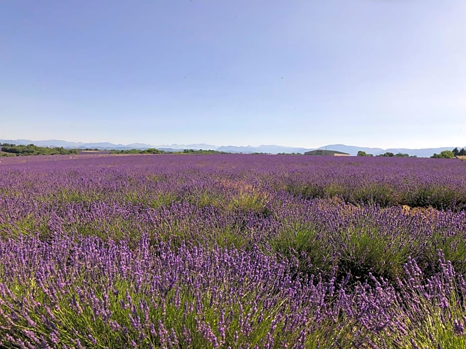 Chambre hôtes Les Garrigues CUCURON