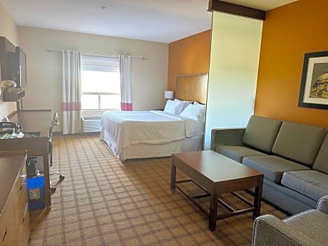 Room, 1 King Bed with Sofa bed (1 King Bed and 1 Double Sofa Bed)