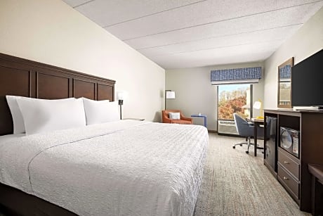 1 King Bed Nonsmoking
