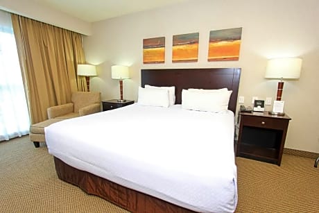 1 King Suite