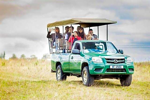 Rain Farm Game Lodge