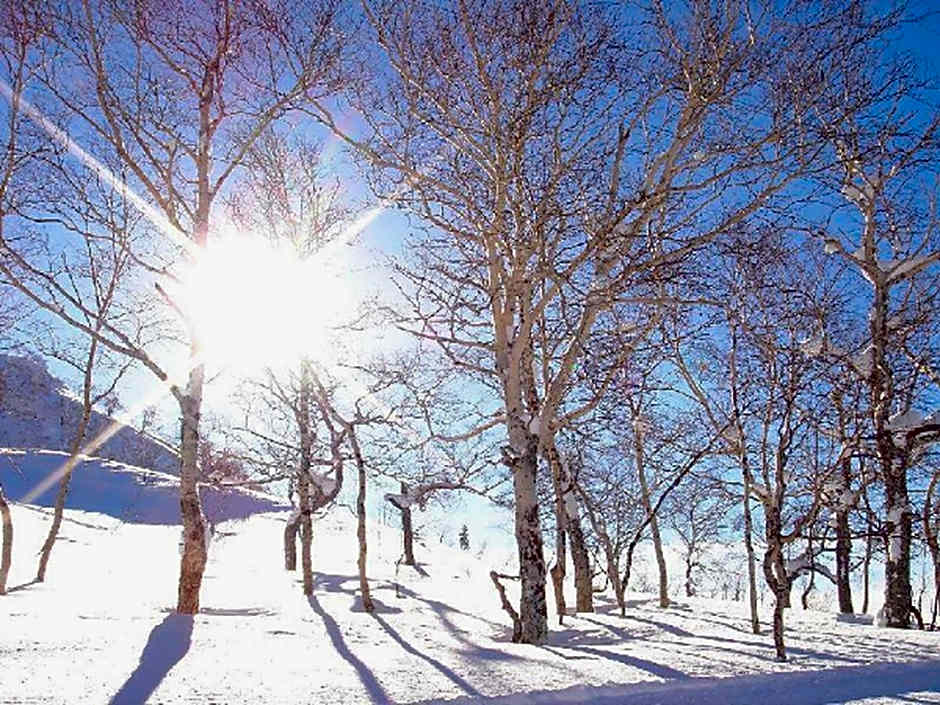 Asahidake Onsen  Yumoto Yukomansou