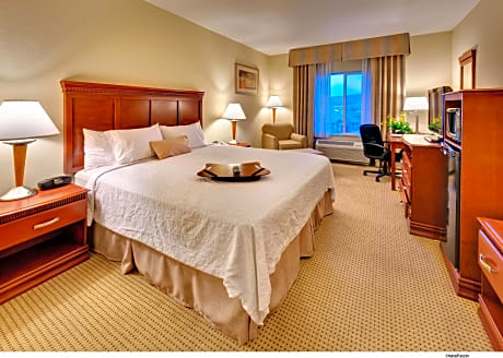 1 King Mobility Access Tub Suite Nonsmoking