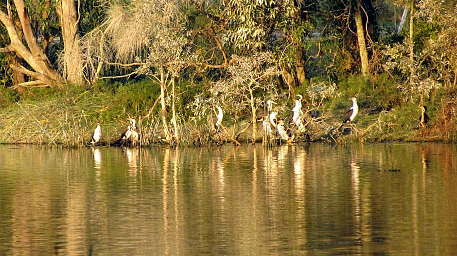 Lake Russell Retreat