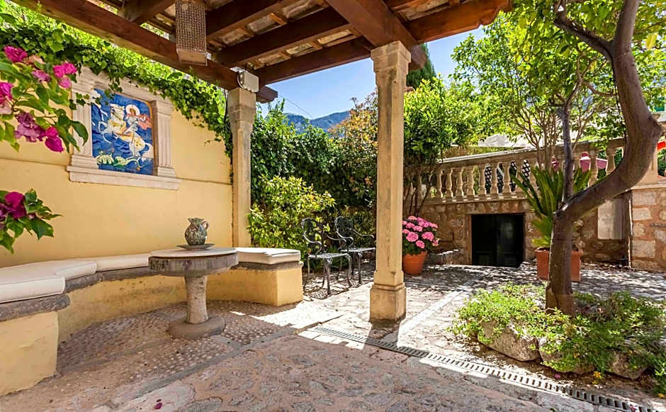 The Salvia - Adults Only