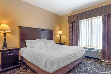 Suite-1 King Bed, Non-Smoking, Sofabed, Microwave And Refrigerator, Two Flat Screen Televisions, Ful