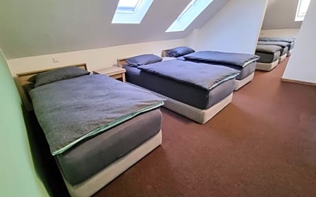 Mixed Dormitory Room