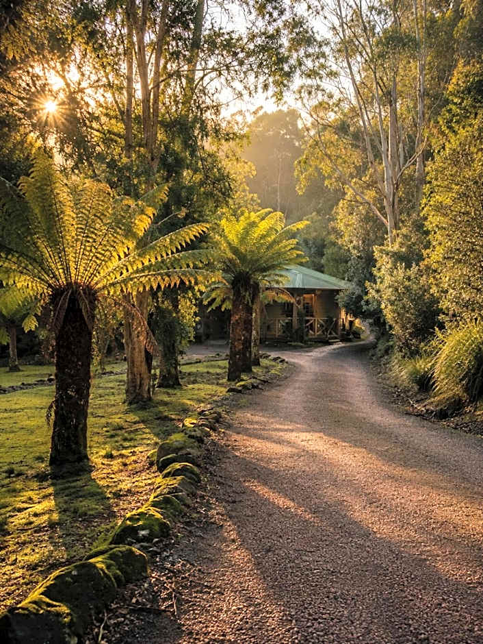 Cradle forest inn