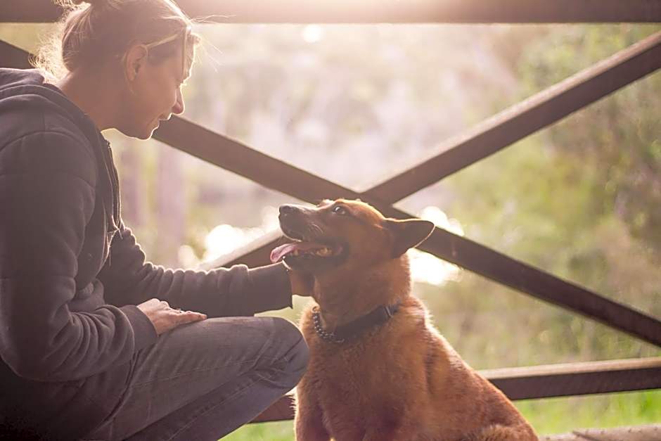 Che Sara Sara Chalets