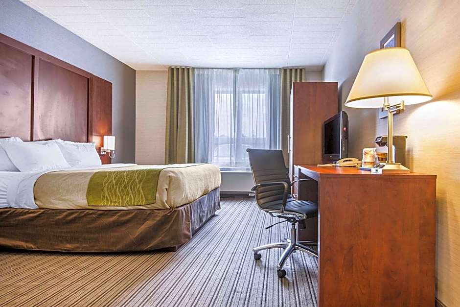 Comfort Inn & Suites Collingwood