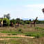 42@ Ditholo Game Lodge