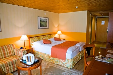 Superior Room with Balcony and Jungfrau view