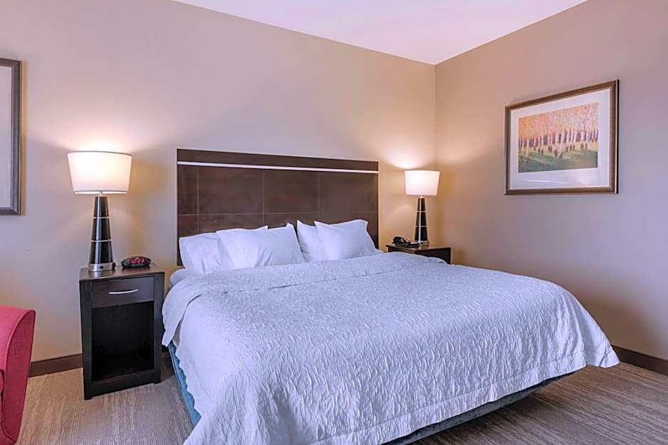Hampton Inn By Hilton Alamosa, Co