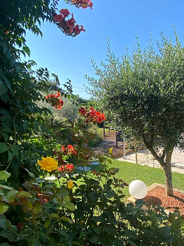 Chambre d’hôtes vaucluse