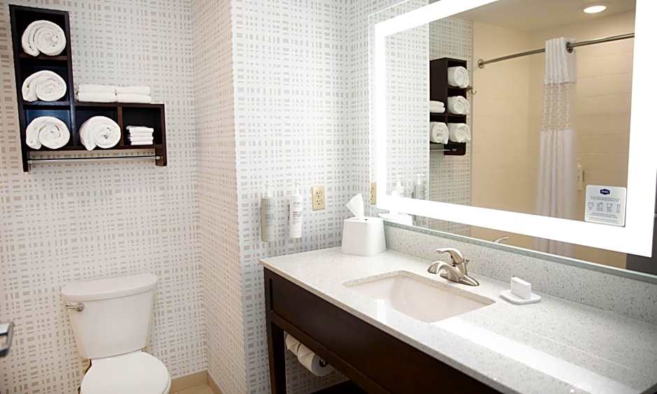 Hampton Inn & Suites Williamsport-Faxon Exit