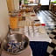 Albergo Lungomare