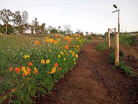 Rim Thang Mae Suai home stay 
