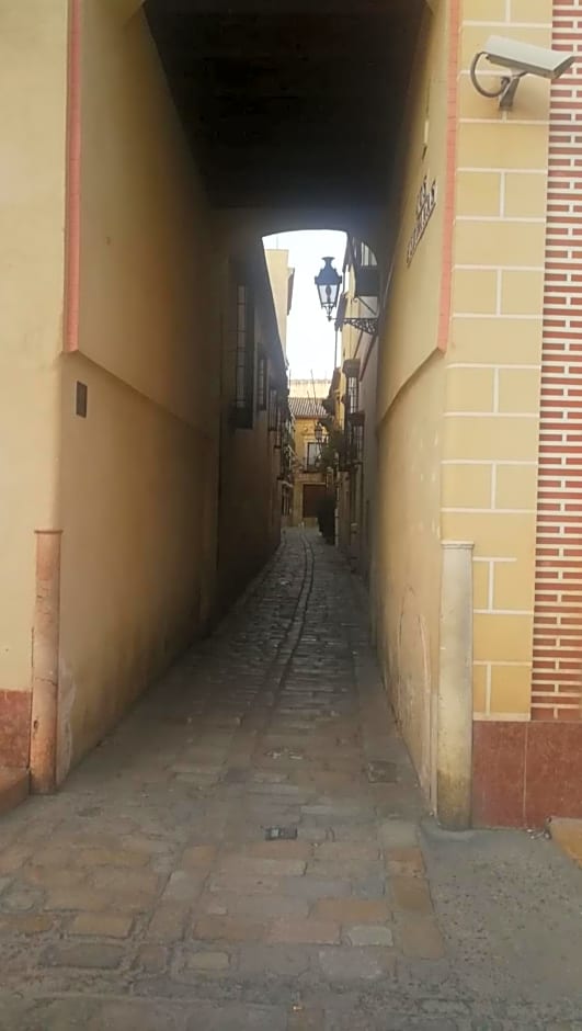 Apartamentos Flamenco B&B