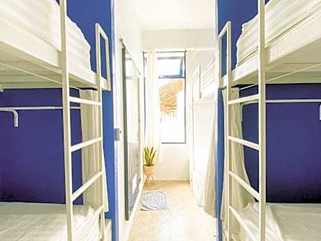 Bunk Bed in Female Dormitory Room