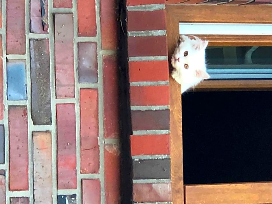 Pension Ferienwohnung Hillrichshof