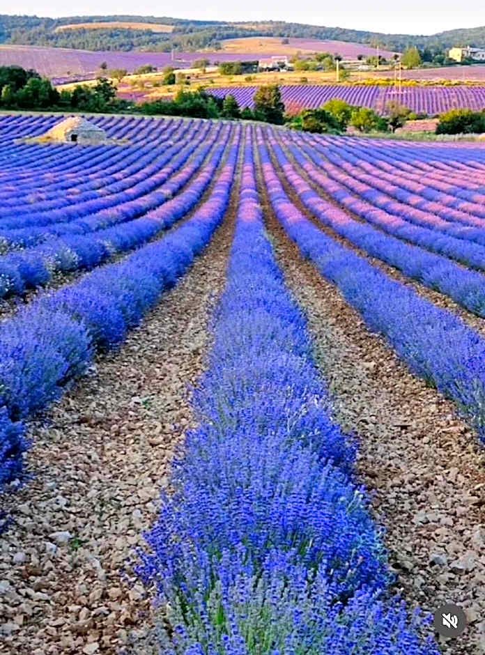 Appart'hôtel 27 le lion d'or