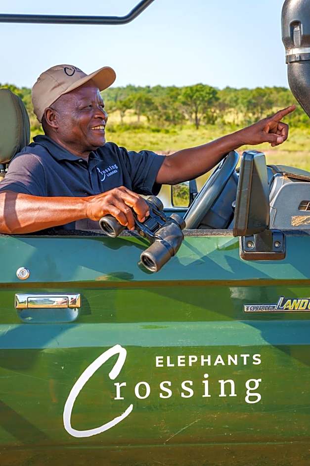 Elephants Crossing
