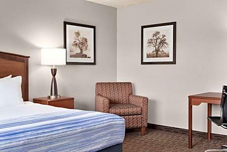 King Room - Non-Smoking