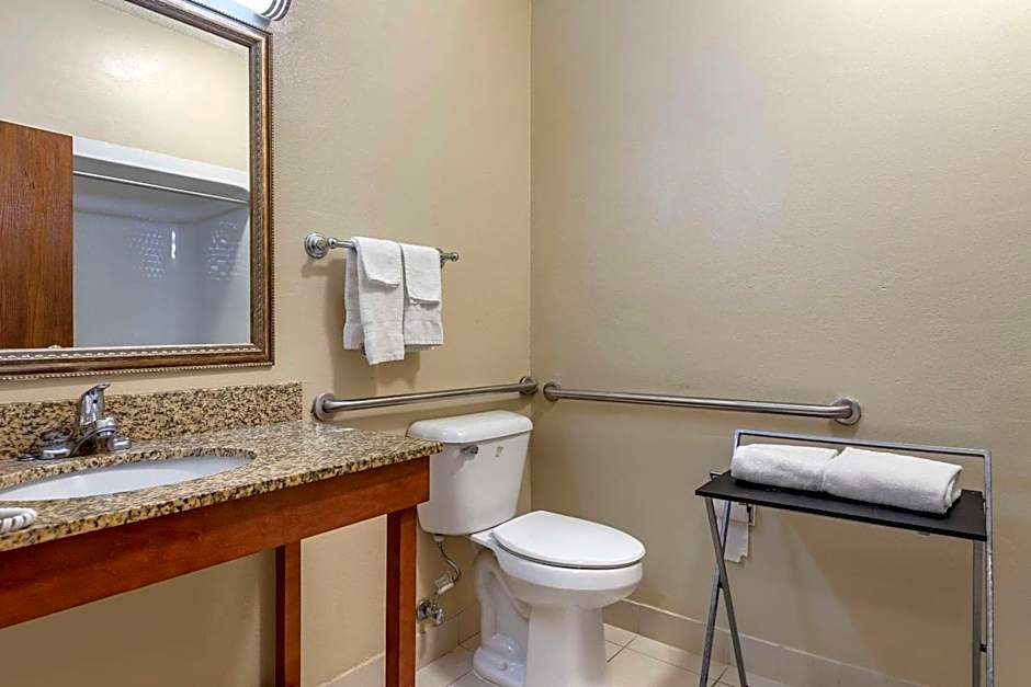 Comfort Suites Auburn Hills-Detroit