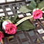 Les Roses de Montherlant