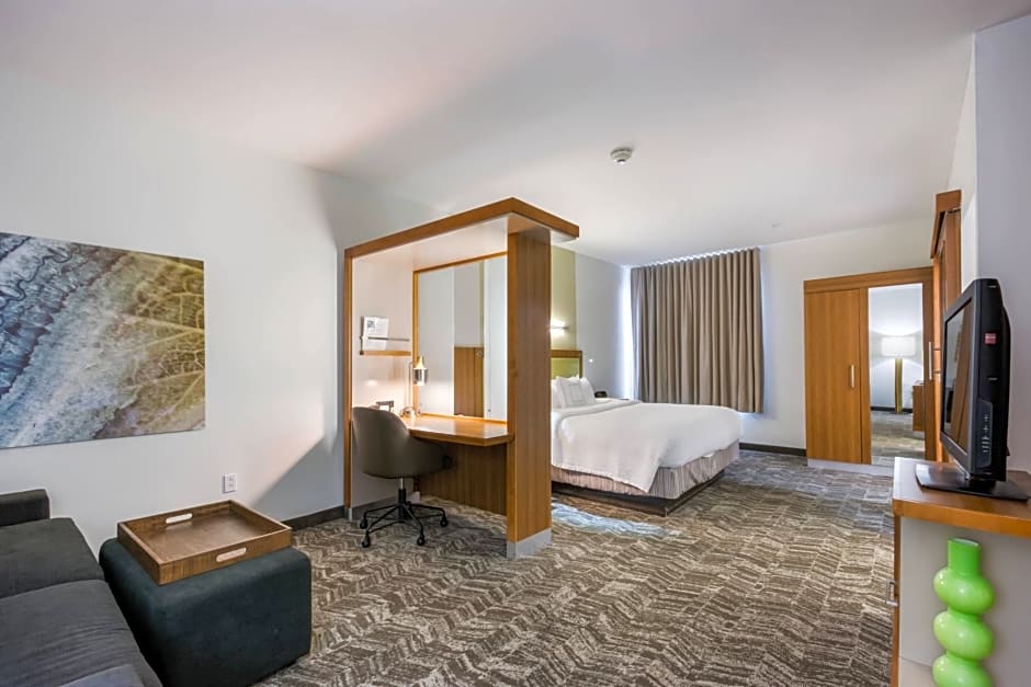 SpringHill Suites by Marriott Enid