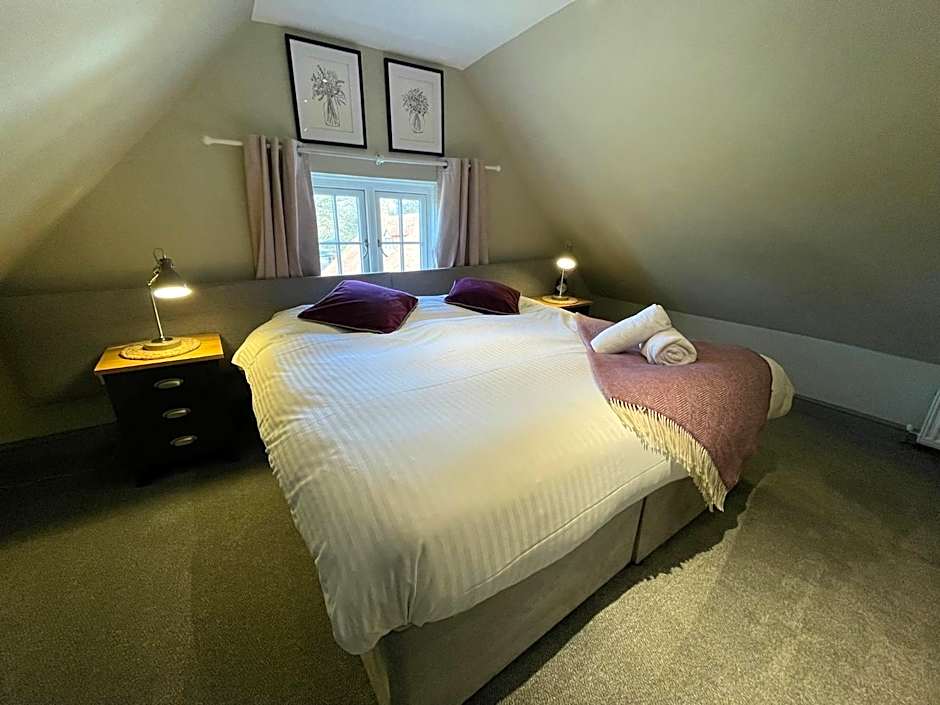 Deluxe 1 Double Bed or 2 Beds — 7 fotoğraftan 1. fotoğraf
