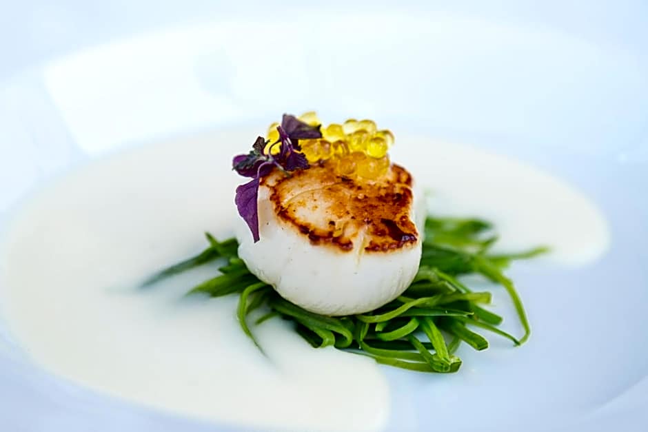 Barceló Hamilton Menorca Adults Only