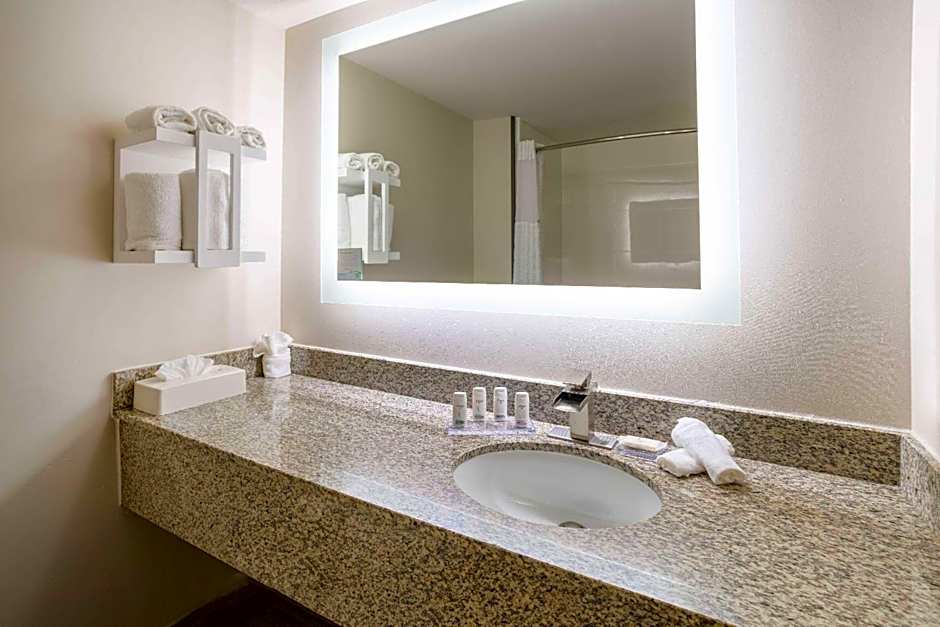 Wingate By Wyndham Atlanta Galleria Center