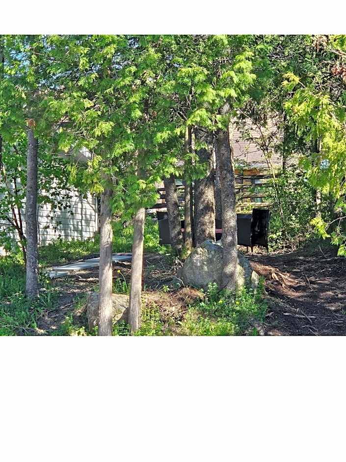 hôtel Fleurs Karaïbes