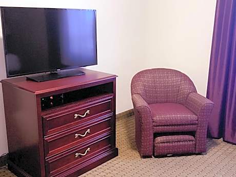One-Bedroom Executive Business King Suite - Non-Smoking