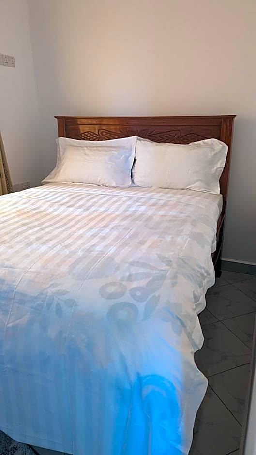 Mufasa city Hostel and Apartments