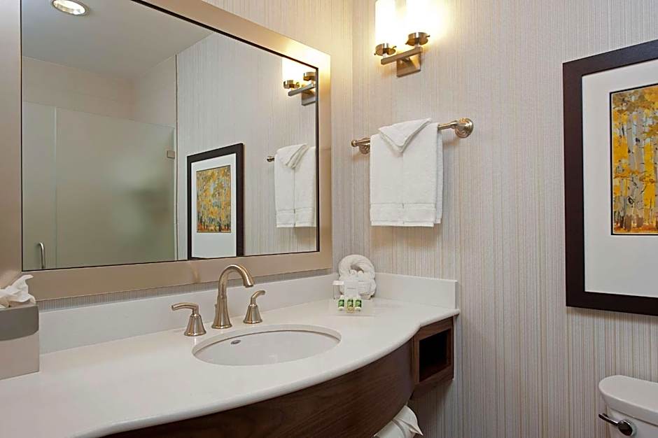 Hilton Garden Inn Indianapolis Downtown