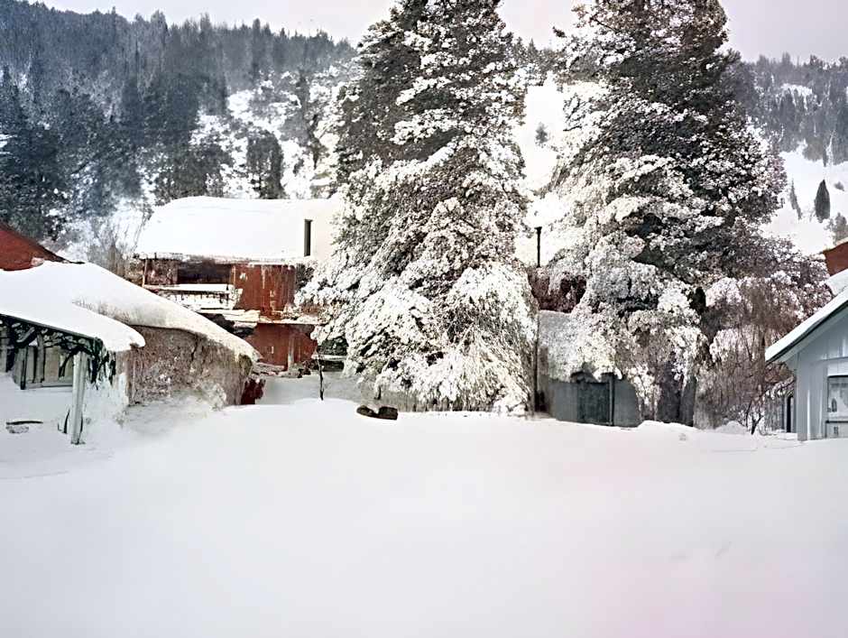 Lake Front Cabins
