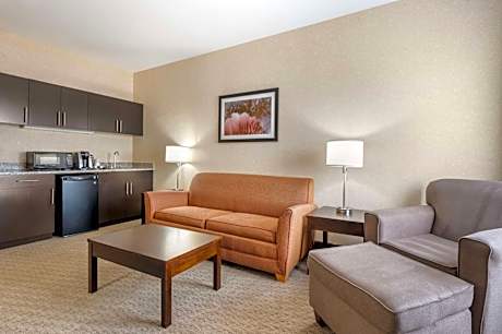 Suite with One King Bed and Sofa Bed - Non Smoking