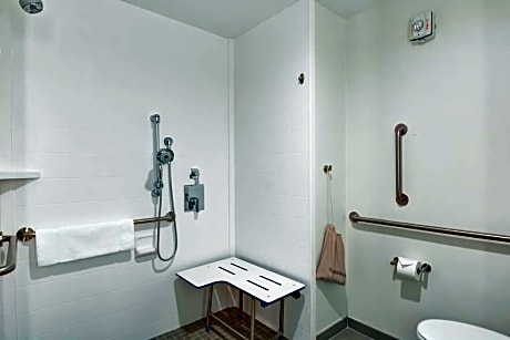 1 King Accessible 1 Bedroom Suite Roll In Shower