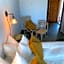 Pilguse Residency