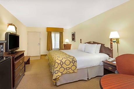 1 King Bed Non-Smoking