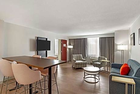 One-Bedroom King Suite with Sofa Bed