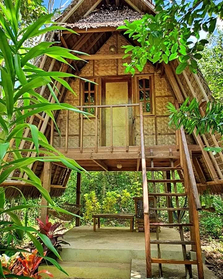 Photo 1 of 41 of Lazy Lizard Hostel